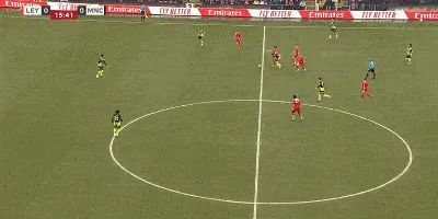 1739024371191993.gif 2.gif